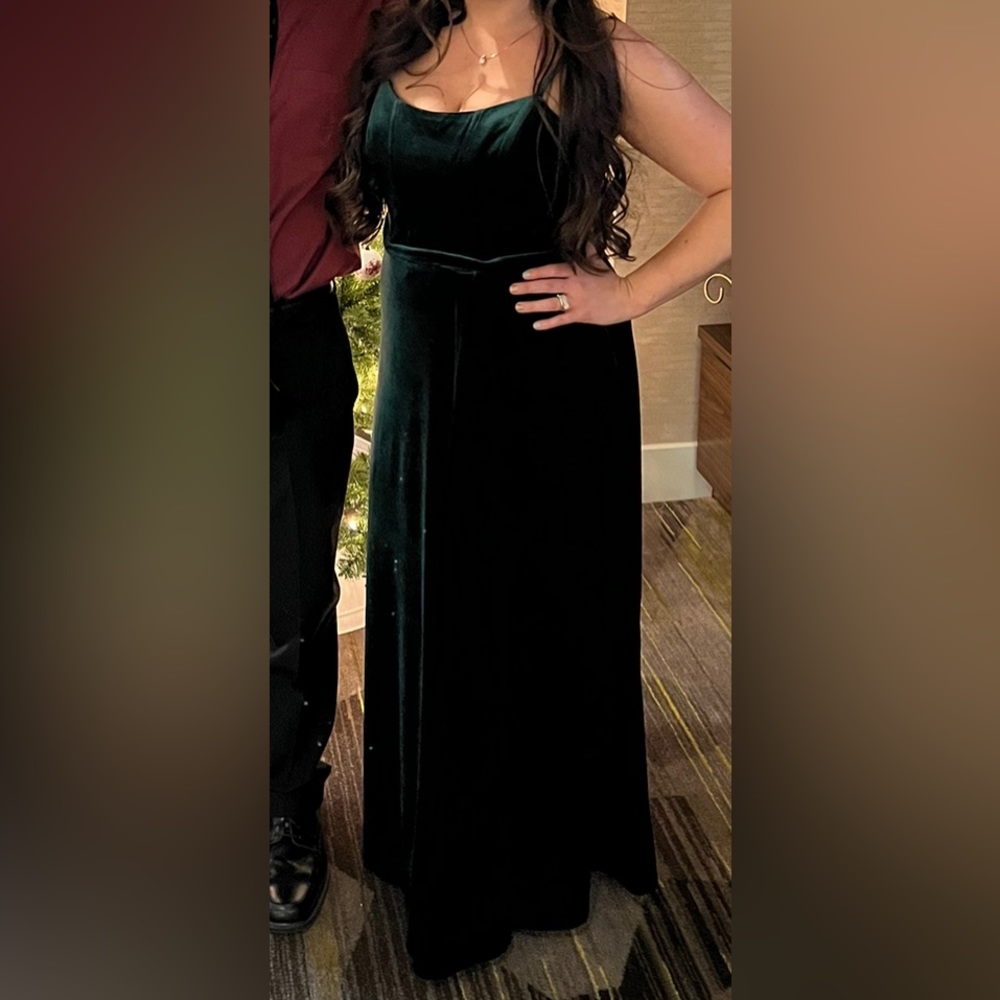 Revelry Nova Velvet Dress